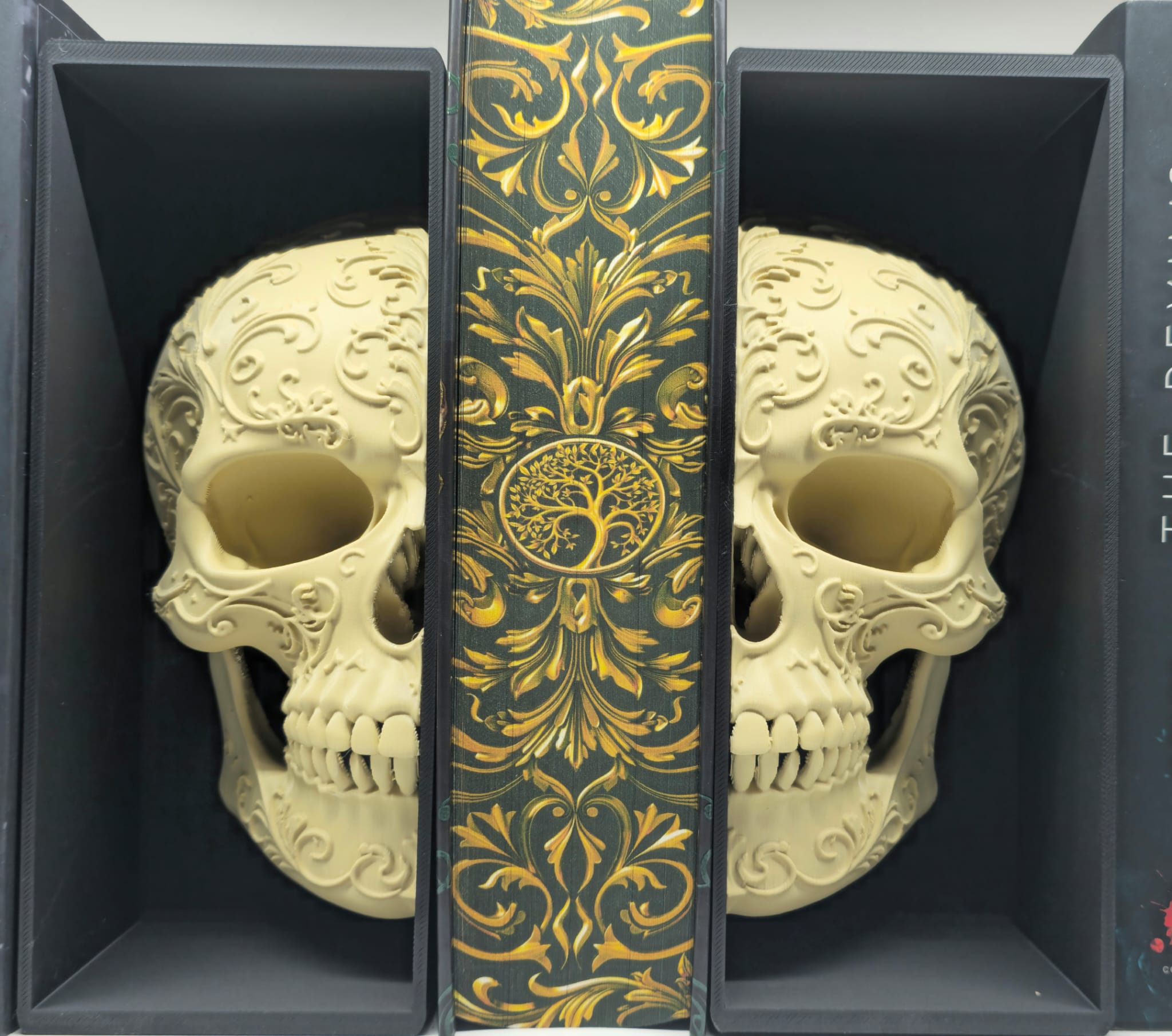 💀 Book Nook – Crâne Décoratif