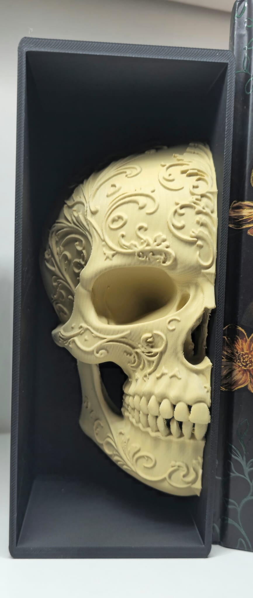💀 Book Nook – Crâne Décoratif