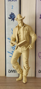 Décoration de bibliothèque – Univers Cowboy