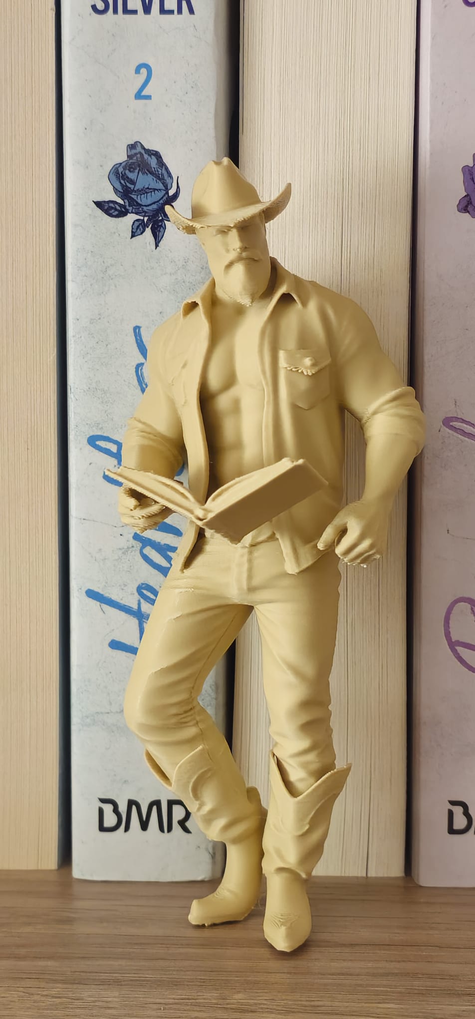 Décoration de bibliothèque – Univers Cowboy
