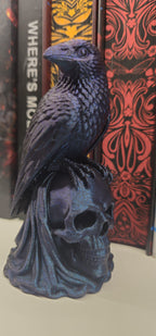 Corbeau sur crâne – Décoration de bibliothèque