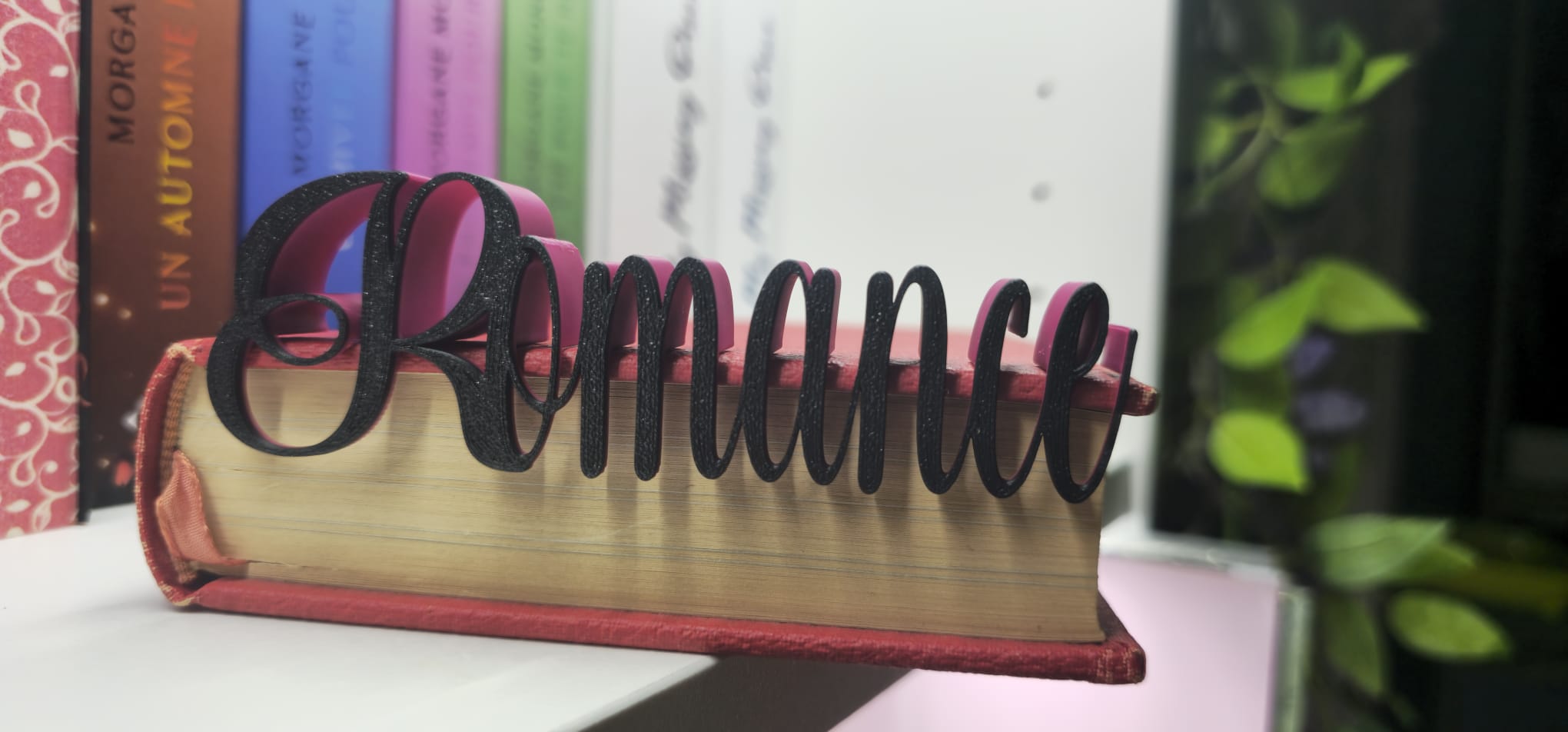 📚 Mot Décoratif « Bibliothèque »