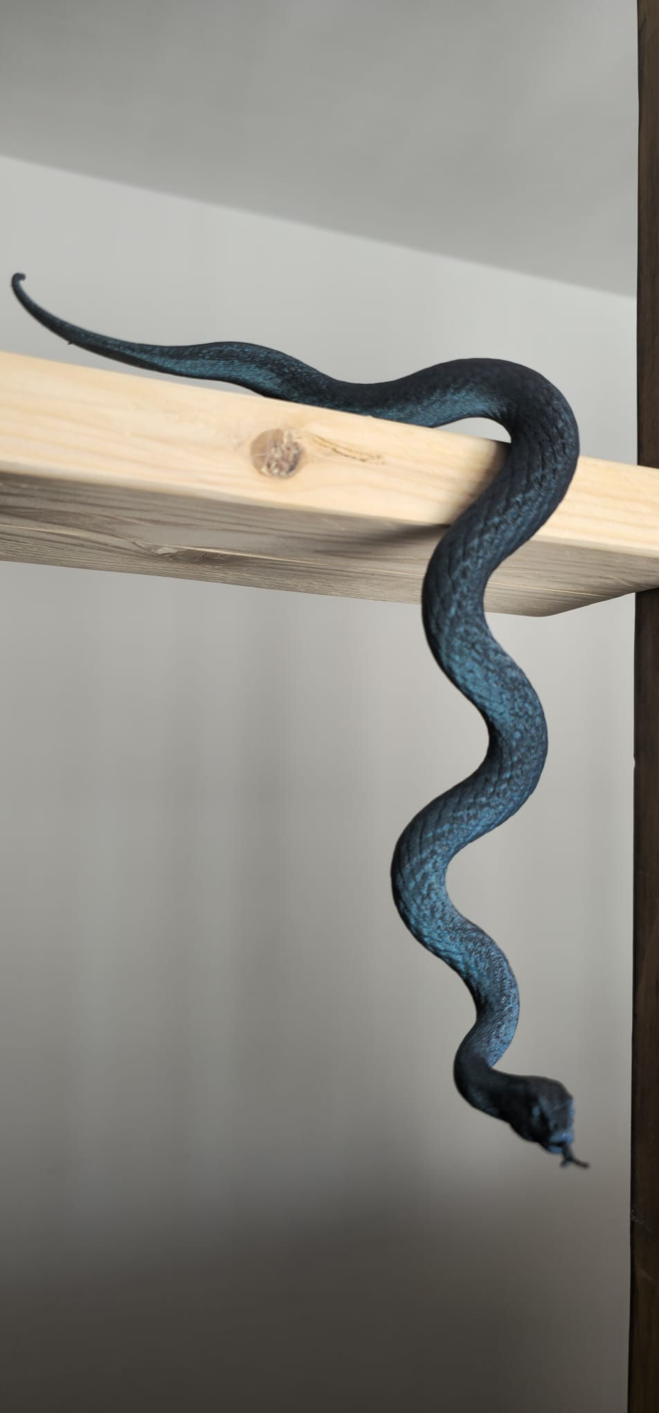 🐍 Serpent décoratif pour étagère de bibliothèque