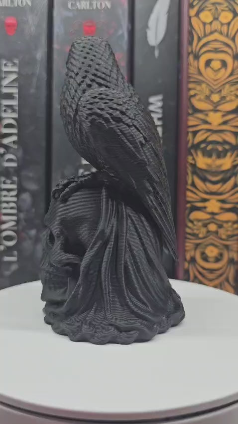 Corbeau sur crâne – Décoration de bibliothèque