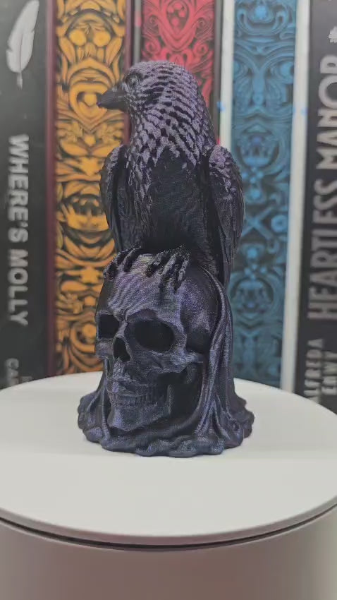 Corbeau sur crâne – Décoration de bibliothèque